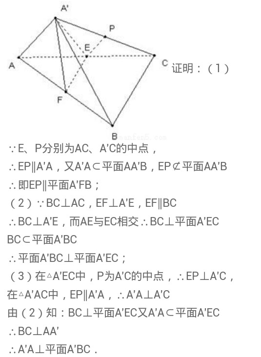与龙相似岂能比，上天下地钻容易打一个正确生肖，详细解答、专家解答解释落实